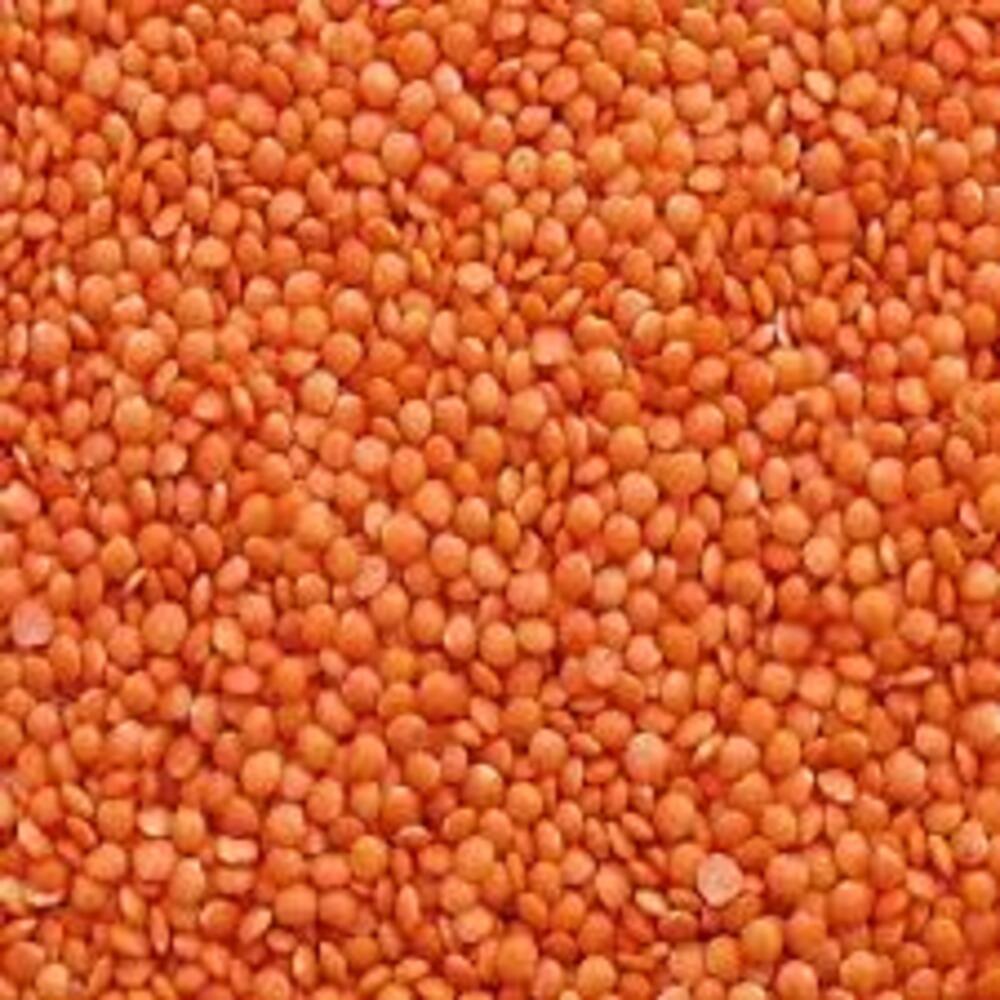 মুসুর ডাল (মিডিয়াম)-৫০০ গ্রাম