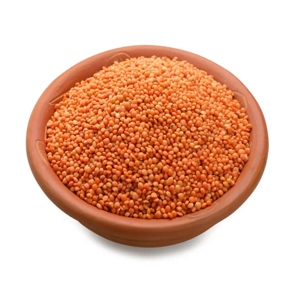 MUSUR DAL-মুসুর ডাল (ক্যংগারু)-৫০০ গ্রাম