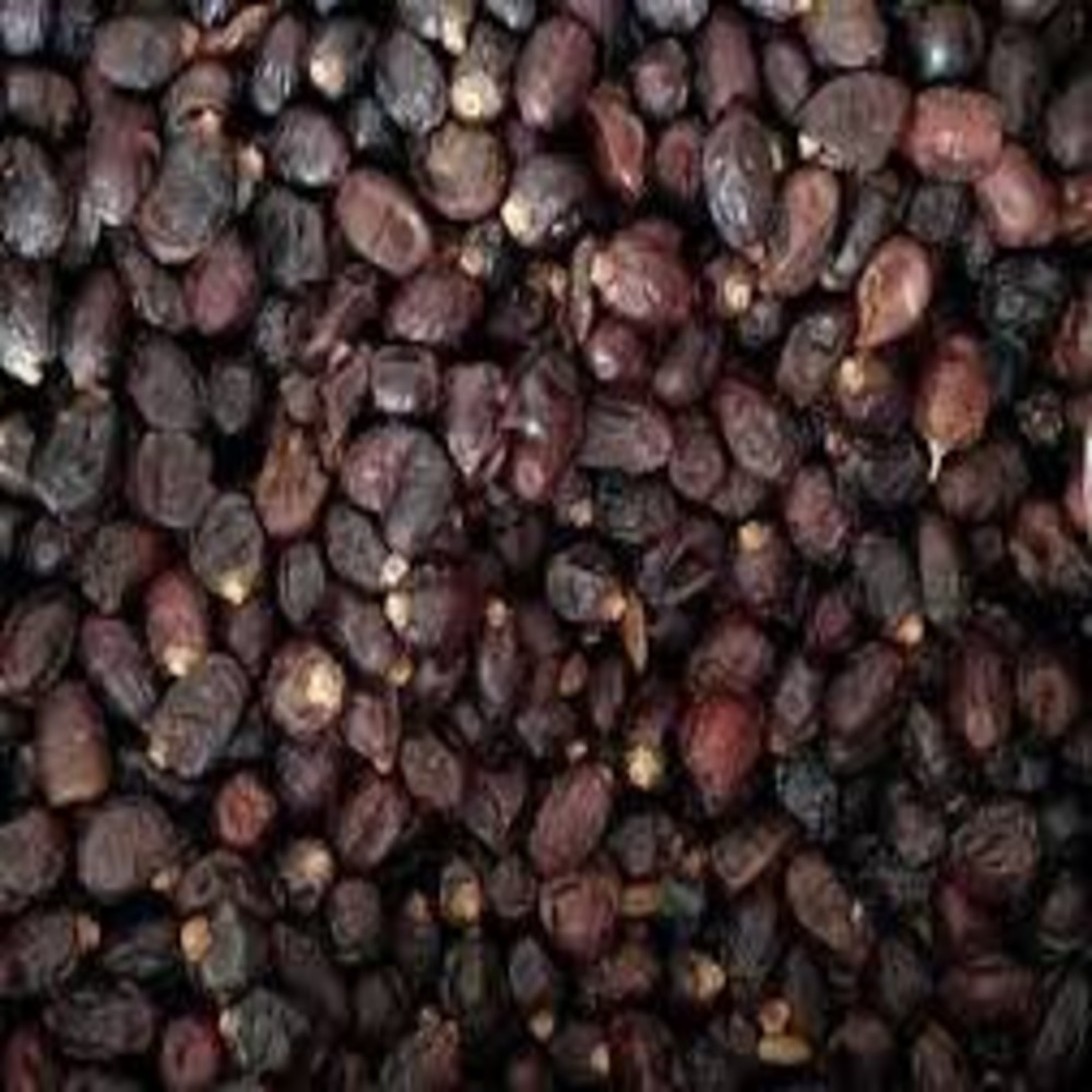 বরই খেজুর-২৫০ গ্রাম-KHEJUR (Date)
