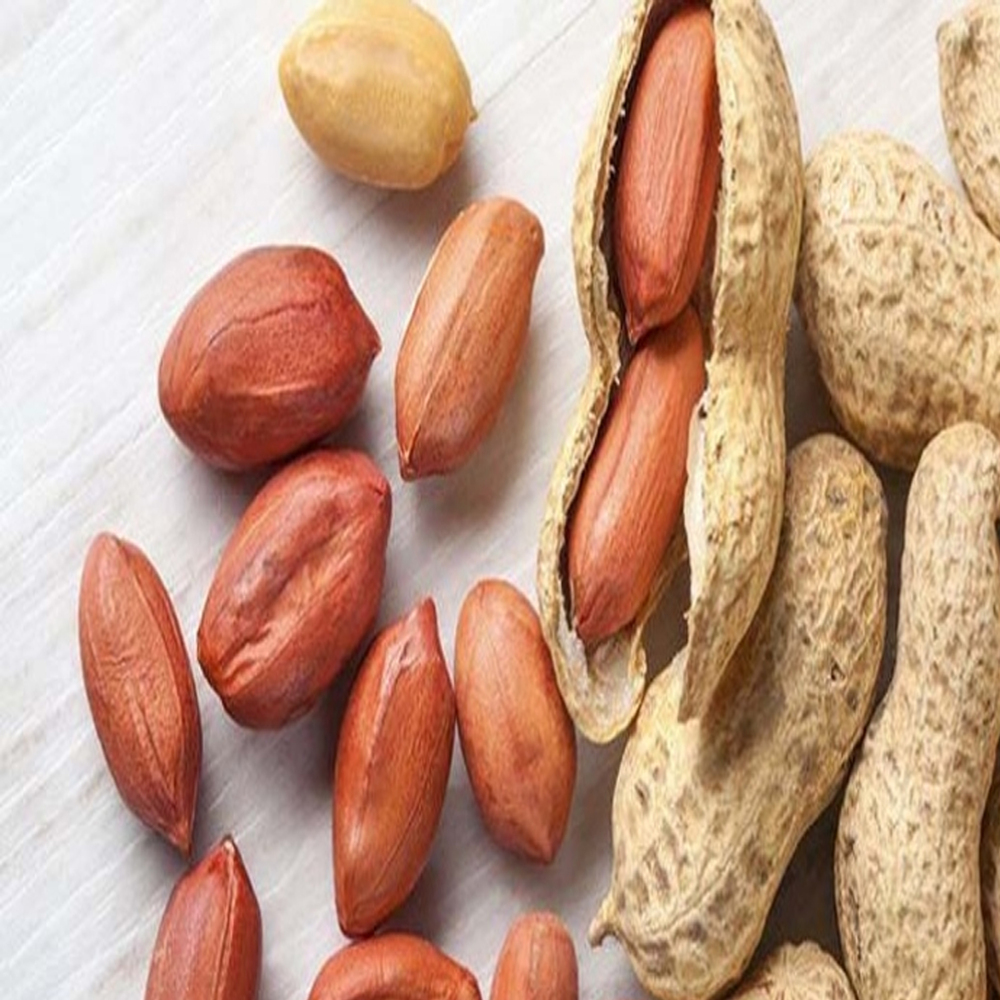 NUT (CHINA BADAM)-চিনা বাদাম-৫০০ গ্রাম