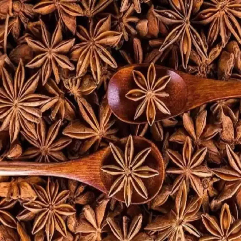 STAR MOSHLA-স্টার মশলা-৫০ গ্রাম