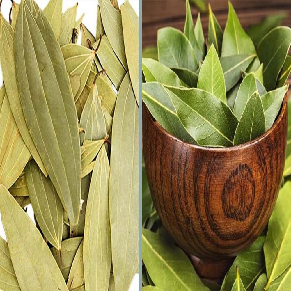 TEJPATA (BAY LEAF)-তেজপাতা-১০০ গ্রাম