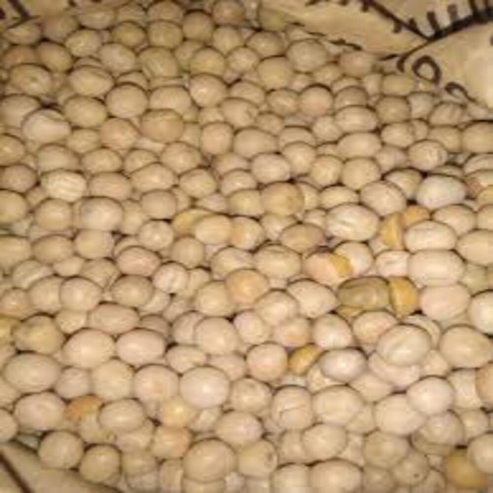 CHOTPOTIR DAL (DABLI)-চটপটির ডাল-৫০০ গ্রাম