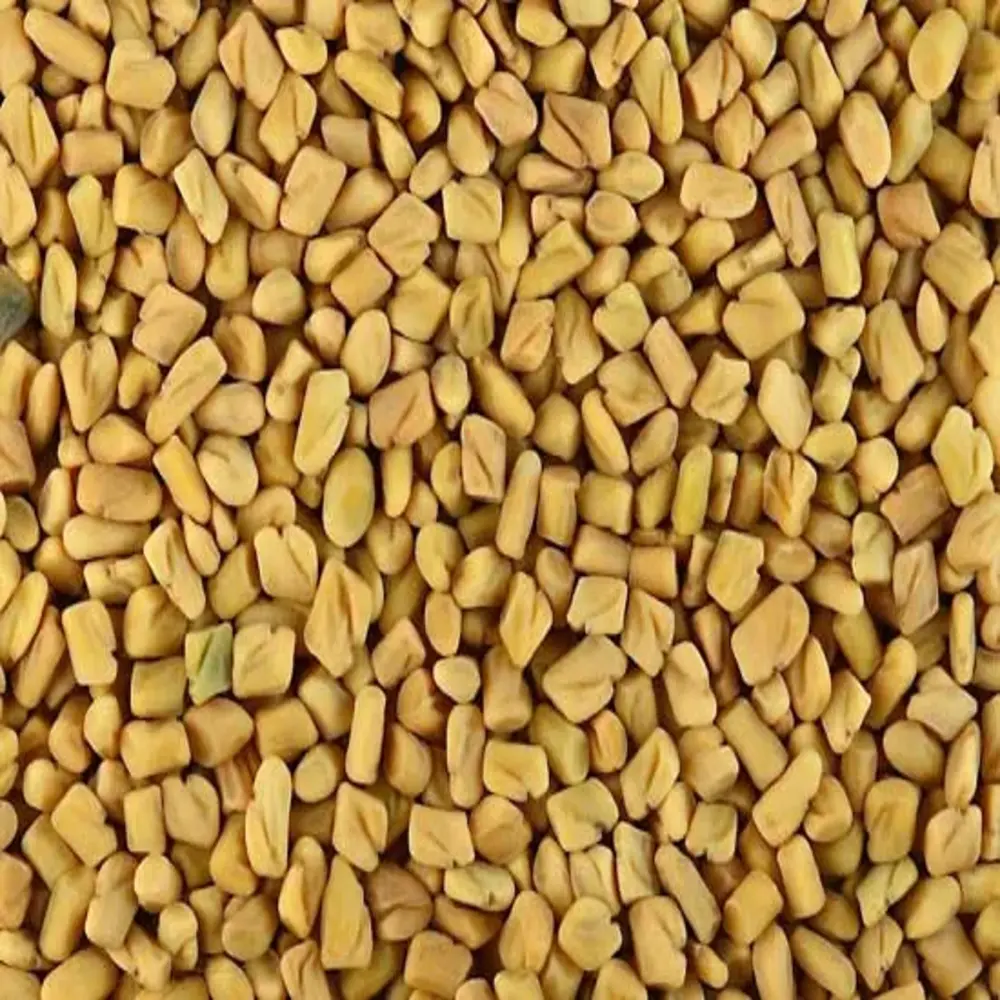 METHI-মেথি (২)-২৫০ গ্রাম